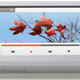 Image for article titled Hands On: iRiver's Crazy Wave-Home Video VoiP/Web Console And Its Beautifully Designed Friends